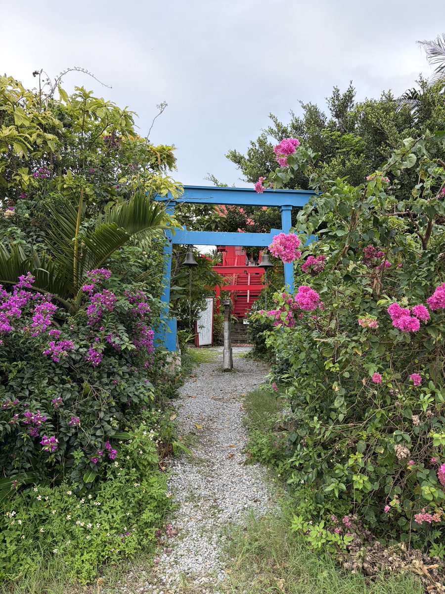 激安❣️富も！開運も！3箇所金運神社⛩️祈祷済み 巡るゴールド