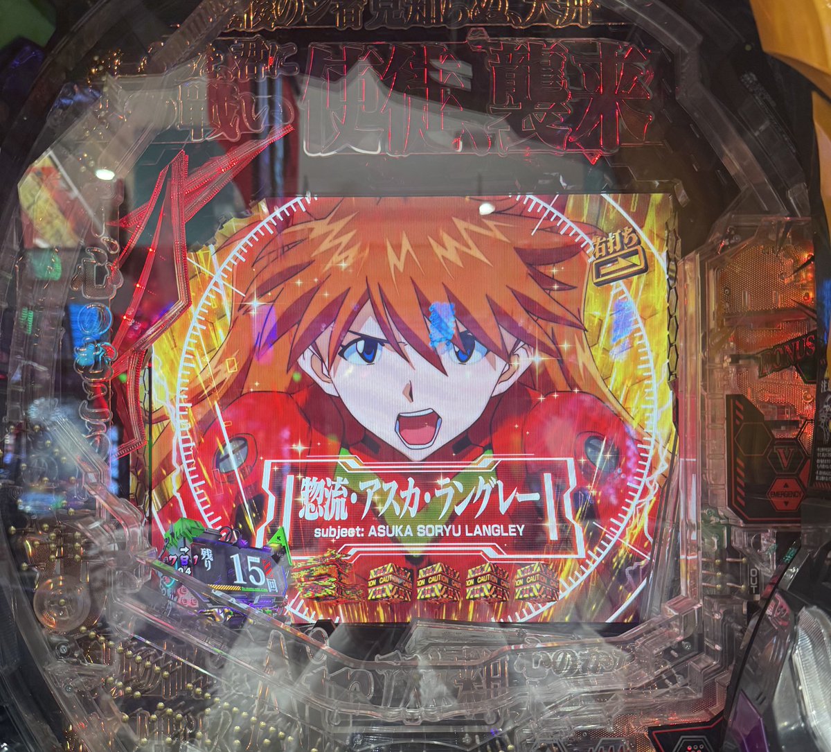 SORA♡様　確認用　サボテン7点 PLANCHU サボテン パロディア 貴宝青 きほうせい Notocactus