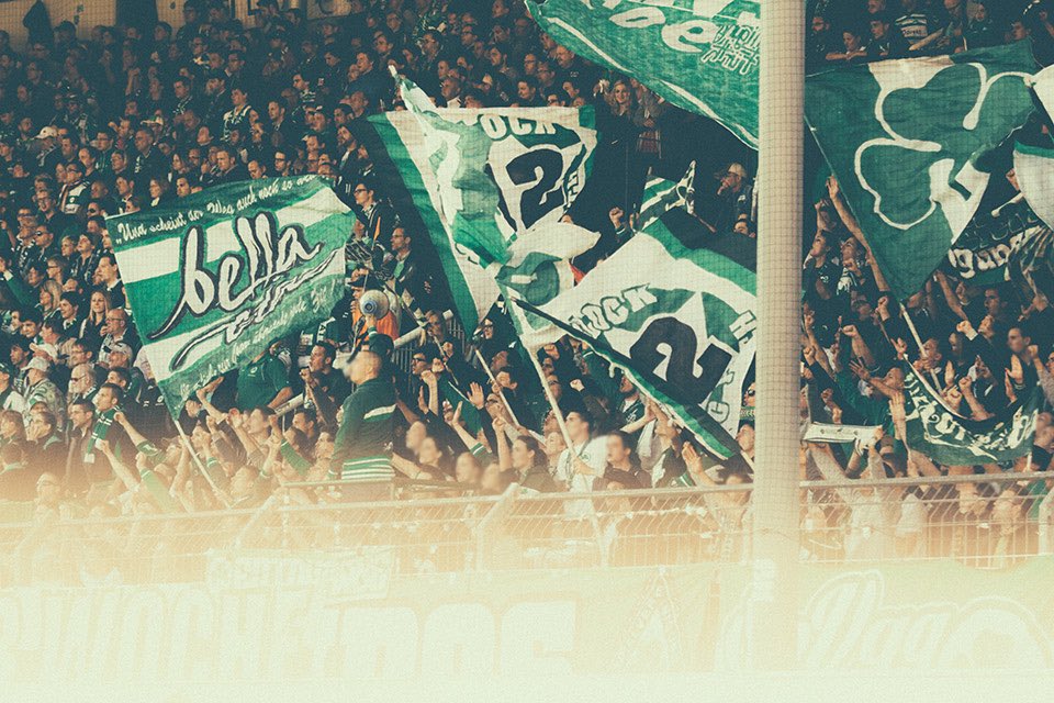 Trotz den ganzen Höhen und Tiefen  sind wir immer bei dir geblieben ☘️