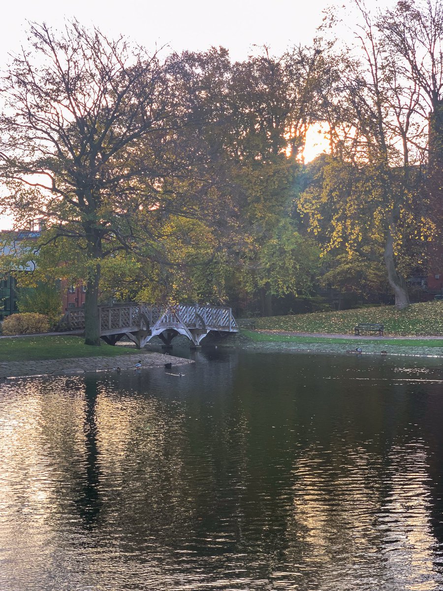 From yesterday walk through Weston Park, Sheffield.

#TheOutdoorCity #ParksSheffield #WestonParkSheffield #AutumnVibes