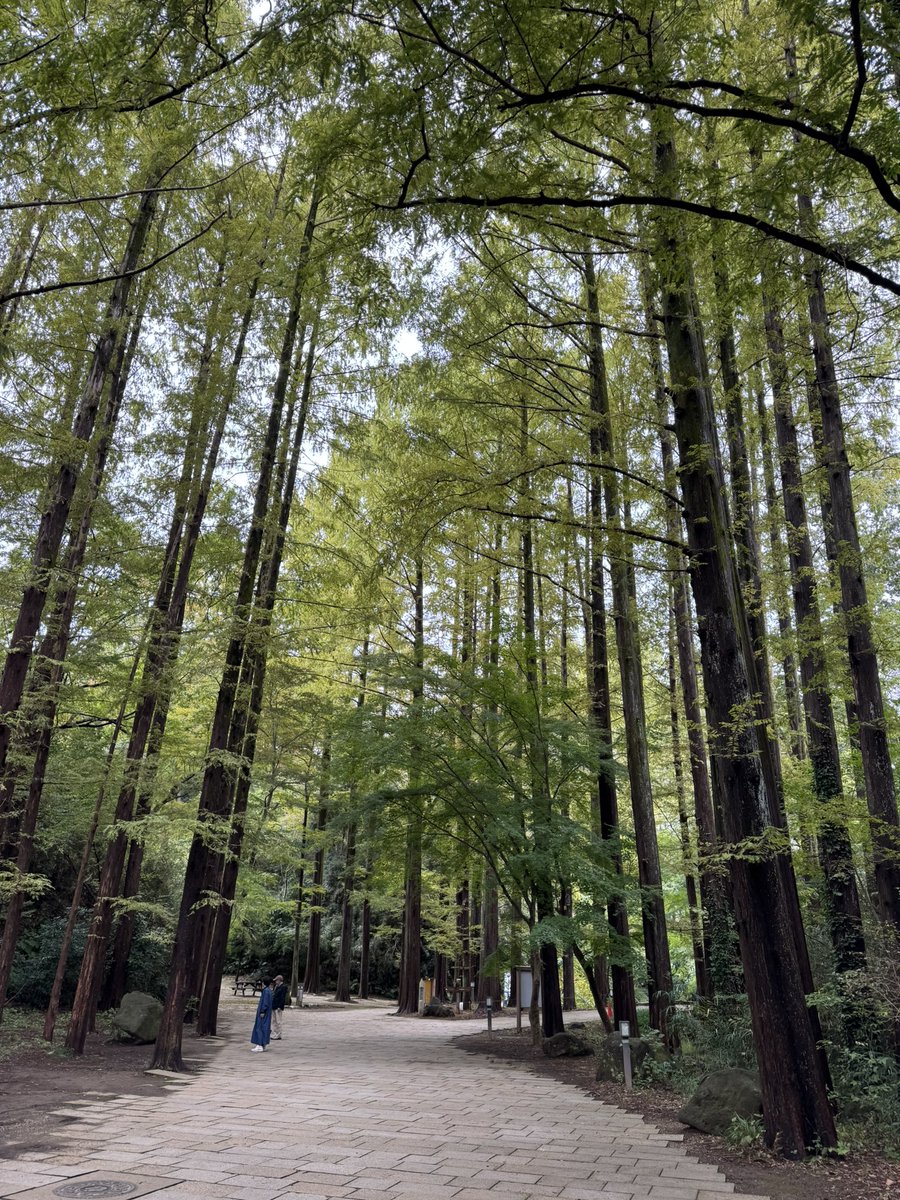 絵画⭐︎燈影マン ken-sasuke on X