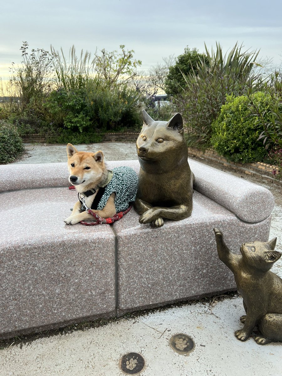 To our greatest ancestor🐾