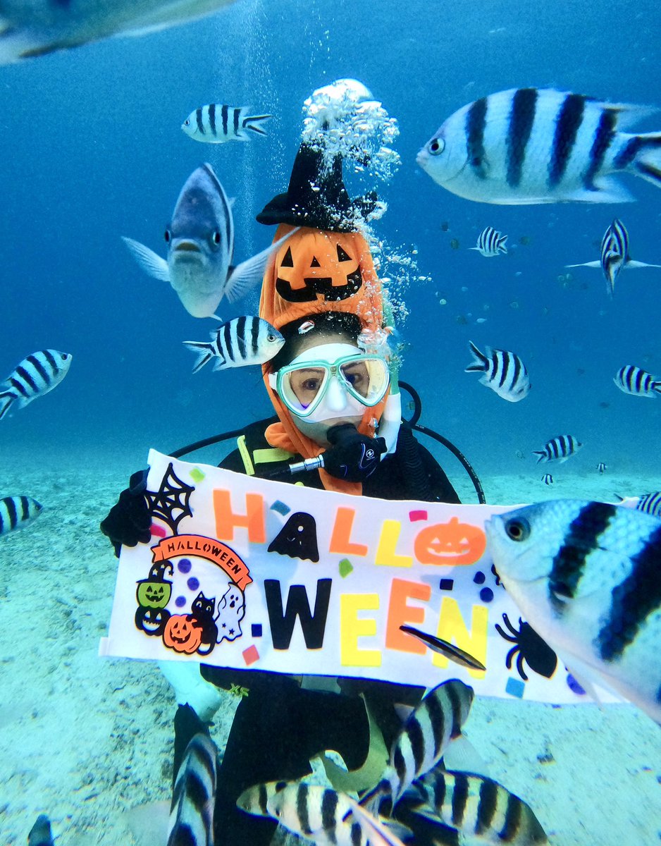 5oceanadventure's tweet photo. 今年のハロウィンダイブも楽しかったー🫶須く可愛い☺️付き合ってくれたゲスト様ありがとうございました！
来年もやります。ハロウィンダイブやりたい人は持参してもOKですよ🙆‍♀️お待ちしています🧟

オーシャンアドベンチャー
〒904-0401沖縄県国頭郡恩納村名嘉真90-2
050-3172-3172 https://t.co/Q0rlhbCAAC