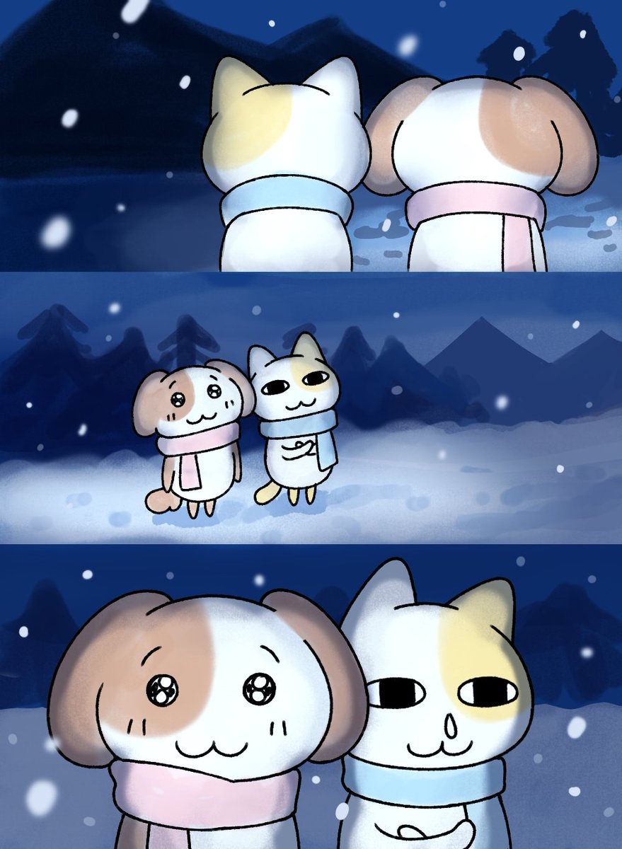 묘냥이와 멍구 (@myo_n_meong) on Twitter photo 