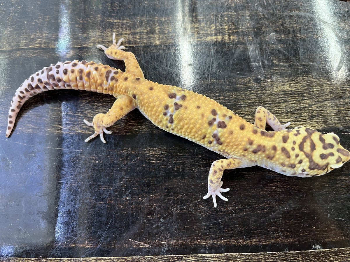 タカっちゃんページ Koo (@Takatakao0o) / Posts / X