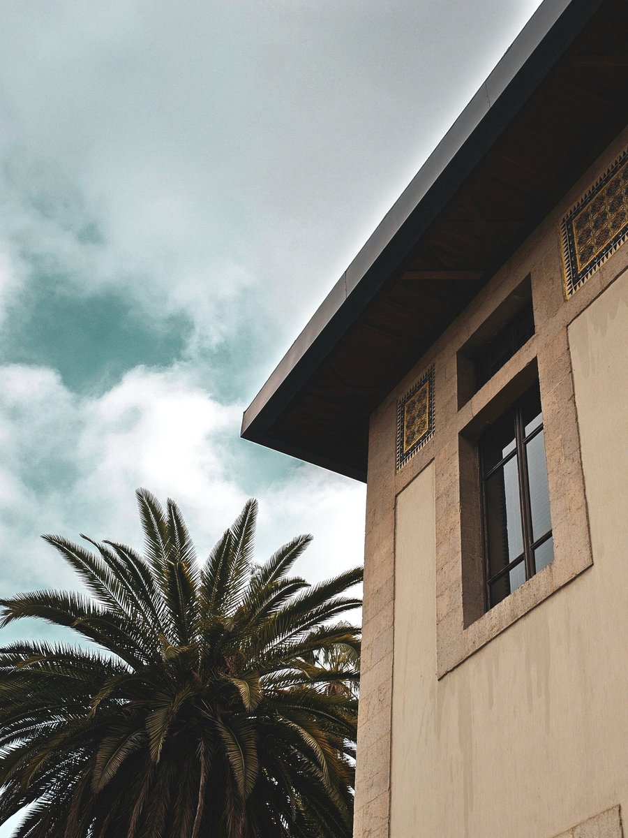 Mohammed tweet media