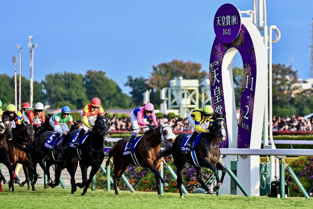 中野競馬場🍦 (@orfevreinc) / Posts / X