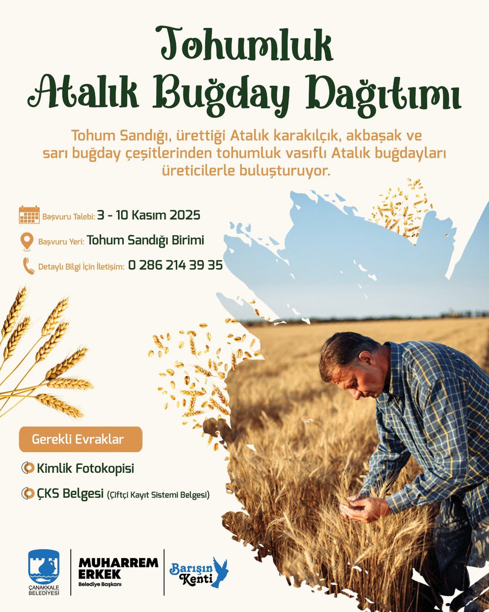 🌾 Üreticilere Destek Olmaya Devam Ediyoruz... 

Tohum Sandığı, ürettiği Atalık Karakılçık, Akbaşak ve Sarı Buğday çeşitlerinden tohumluk vasıflı Atalık buğdayları üreticilerle buluşturuyor!

📅 Başvuru Tarihleri: 3 - 10 Kasım 2025

📍 Başvuru Yeri: İsmetpaşa Mahallesi, Metin