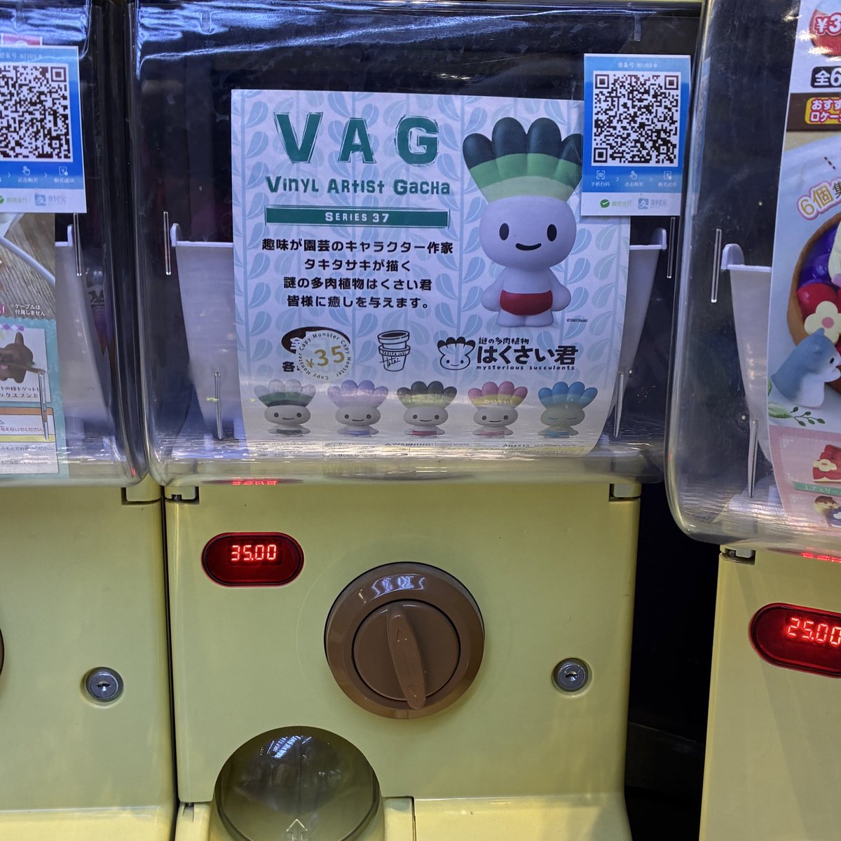 ぷーちゃん♪ プンちゃんねる on X