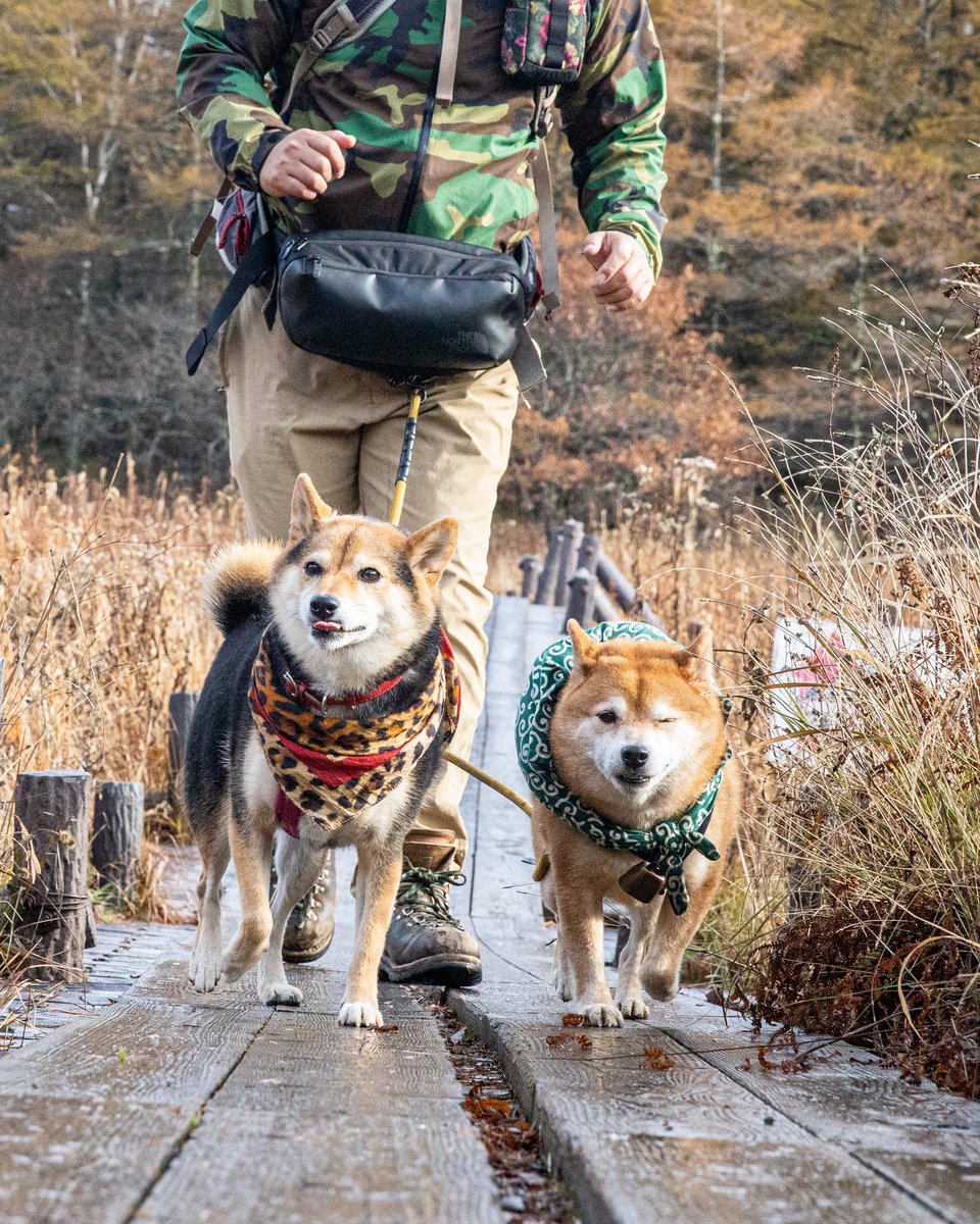 みずきページ みずき (@6__MIZUKI) / Posts / X