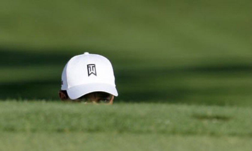 Crysshau's tweet image. 