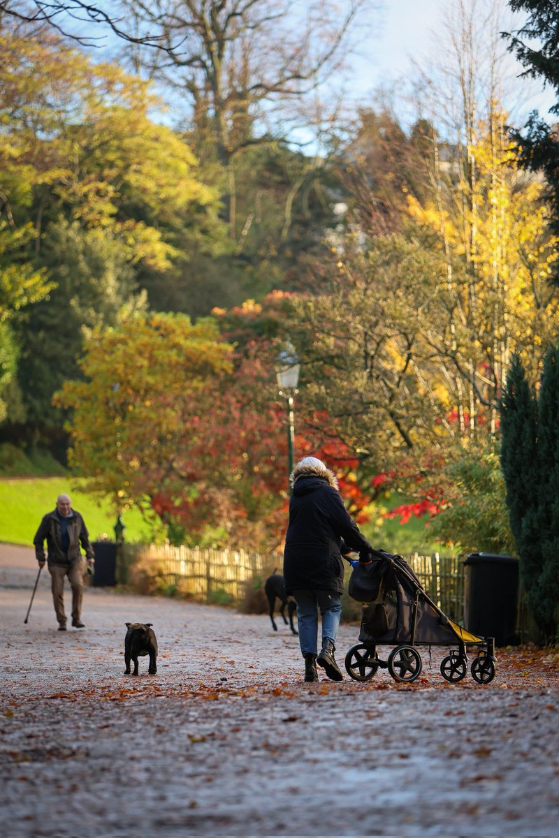 #avenham #millerpark #preston #lancashire