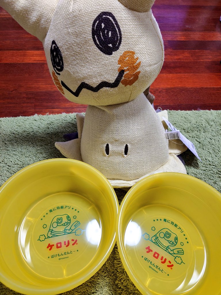 桶届いた〜😭
再販ずっと待ってました感謝😭🙏
ついでにミミッキュもお迎え👻