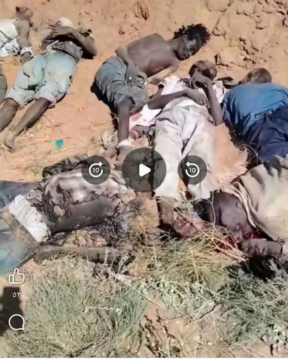 hamad12498's tweet photo. السودان 
الفاشر 
جرائم_الدعم_السريع 
حسبي الله ونعم الوكيل فيهم ملاقيط دول الجوار ومن ساندهم 
قتل نهب سرقه استباحت اعراض الشعب 
وين الإنسانية وين الدين https://t.co/Tz2bElr9mr