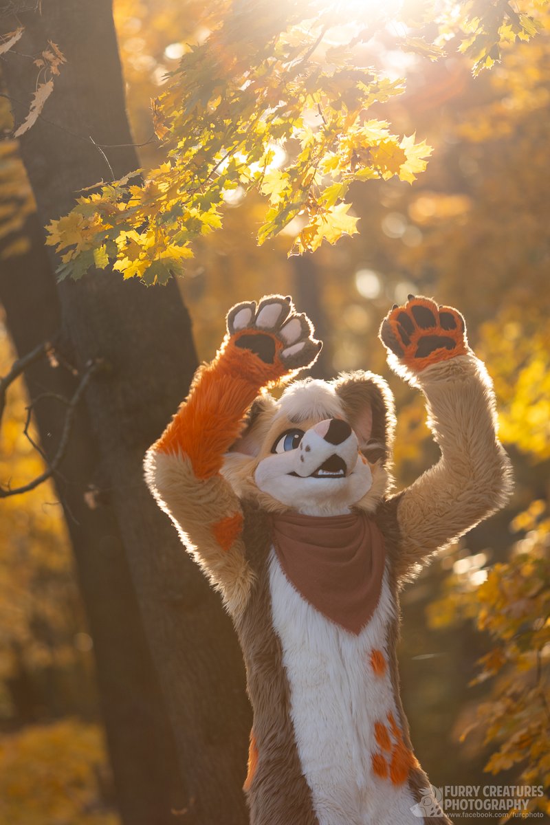 <a href="/BaddydaWuff/">Baddy 🐾</a> If it works, process doesn't matter :P