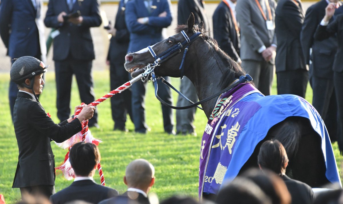 ෆ 𓏲𓎨 ꫝ🅸🅉🅤🅁Ⓤ 𓏲𓎨 ෆ ̖́- on X