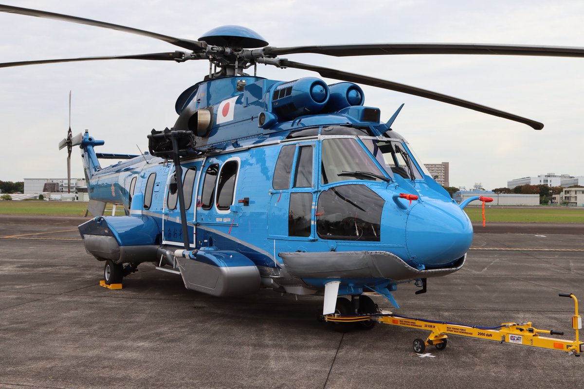 ワイルドあまぎ on X