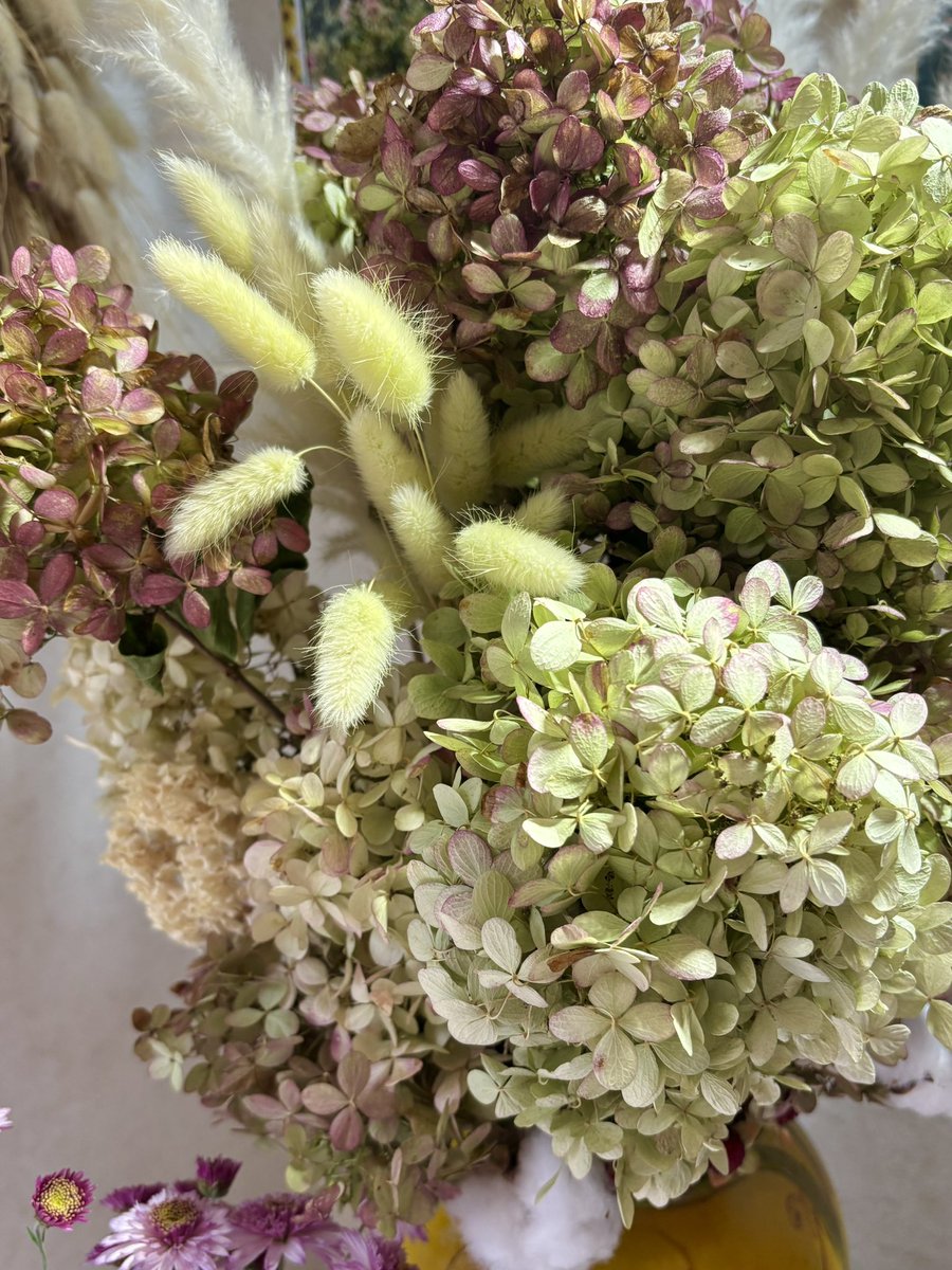 美しい日々 *̩̩̥*̩̩̥ ୨୧ (୨୧ᵕ̤ᴗᵕ̤)⑅ *̩̩̥*̩̩̥ on X