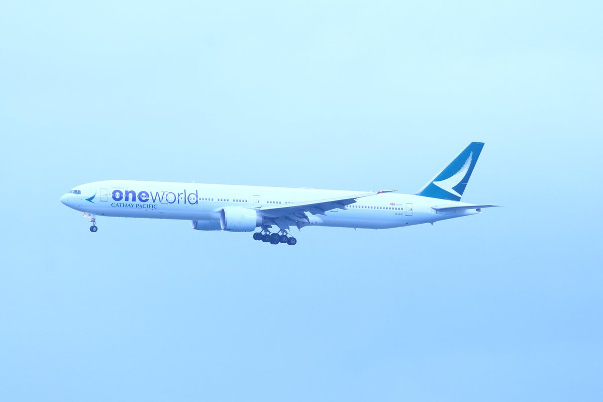 somat_ta's tweet photo. oneworld Livery、自分が思ってたよりも撮ってるみたいだ
HNDではJAL、HKGではCathay Pacific、LAXではAmerican Airlines、ICNではMalaysia Airlines
遠征先で奇跡的に撮れているので凄い!
#oneworld
#oneworldLivery
#JAL
#CathayPacificAirlines
#AmericanAirlines
#MalaysiaAirlines https://t.co/RUP1f0wqZ0