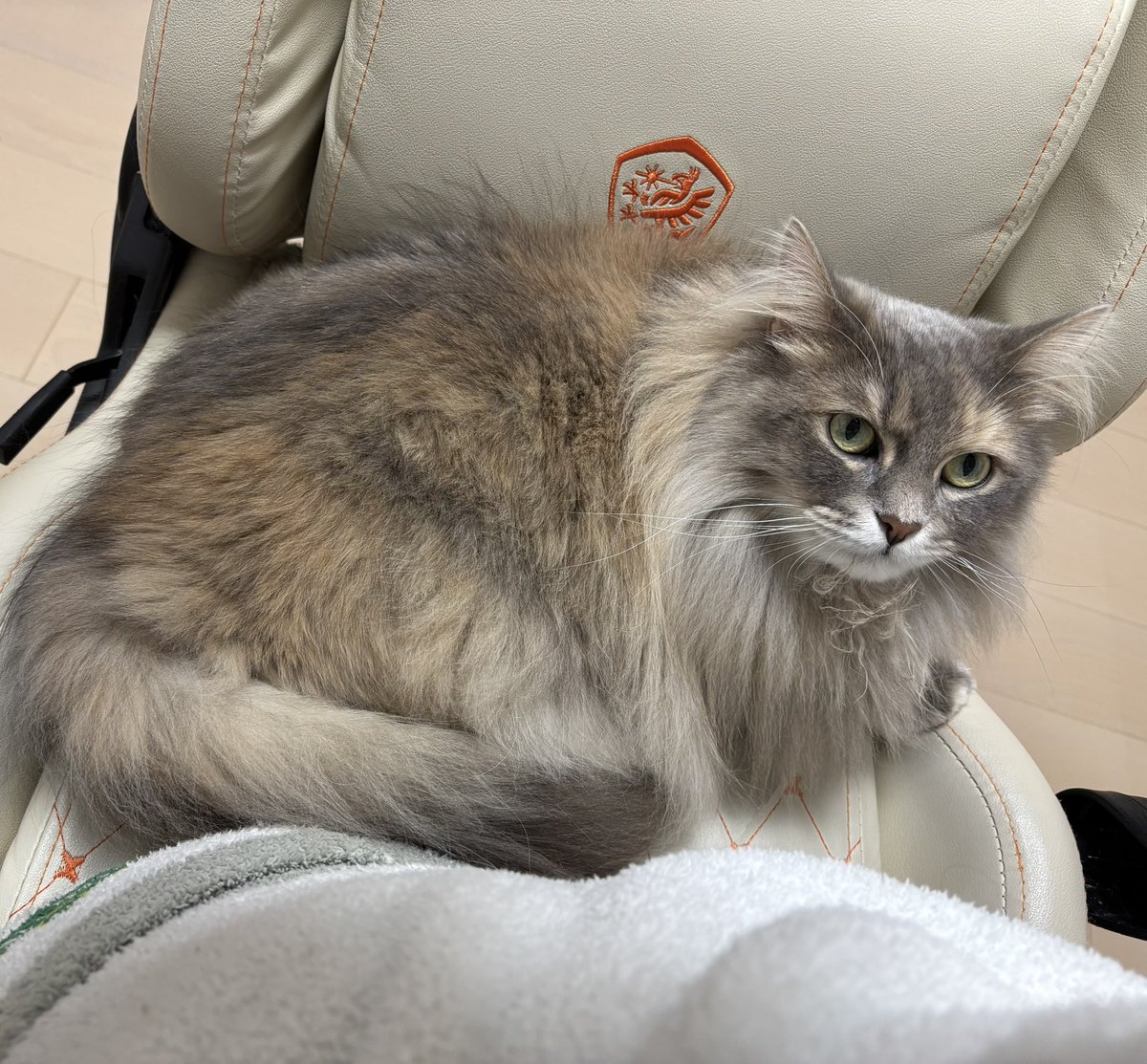 とろたく🐟 on X