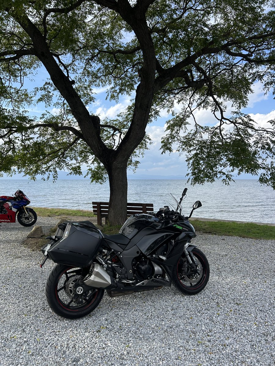 かずやん かずやん (@kzy_star) / Posts / X