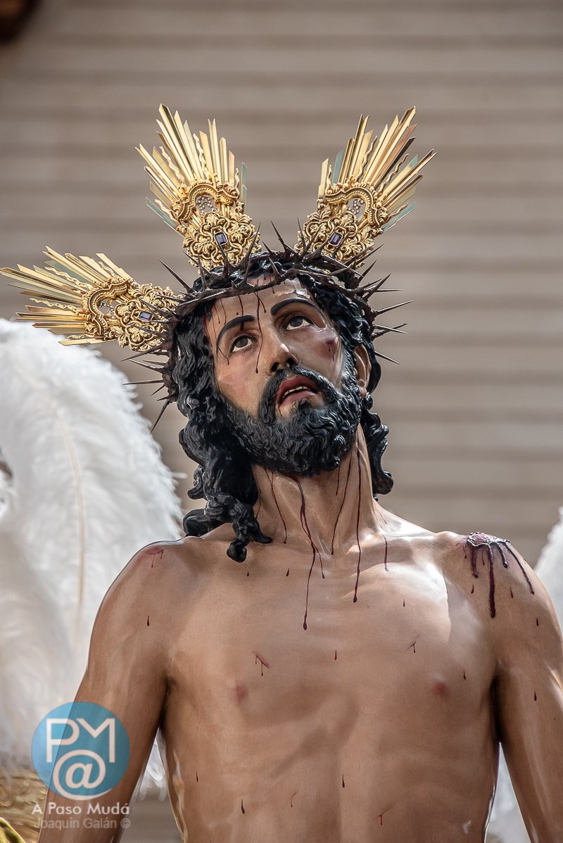 apasomuda's tweet image. .@Jesus_Despojado un domingo más cerca para un nuevo #DomingoDeRanos en #Sevilla

 #SSantaSevilla25
#JesusDespojado
#JesusDespojadoSevilla #HermandadJesusDespojado #DomingoDeRamos  #CofradiasSevilla #SemanaSantaSevilla