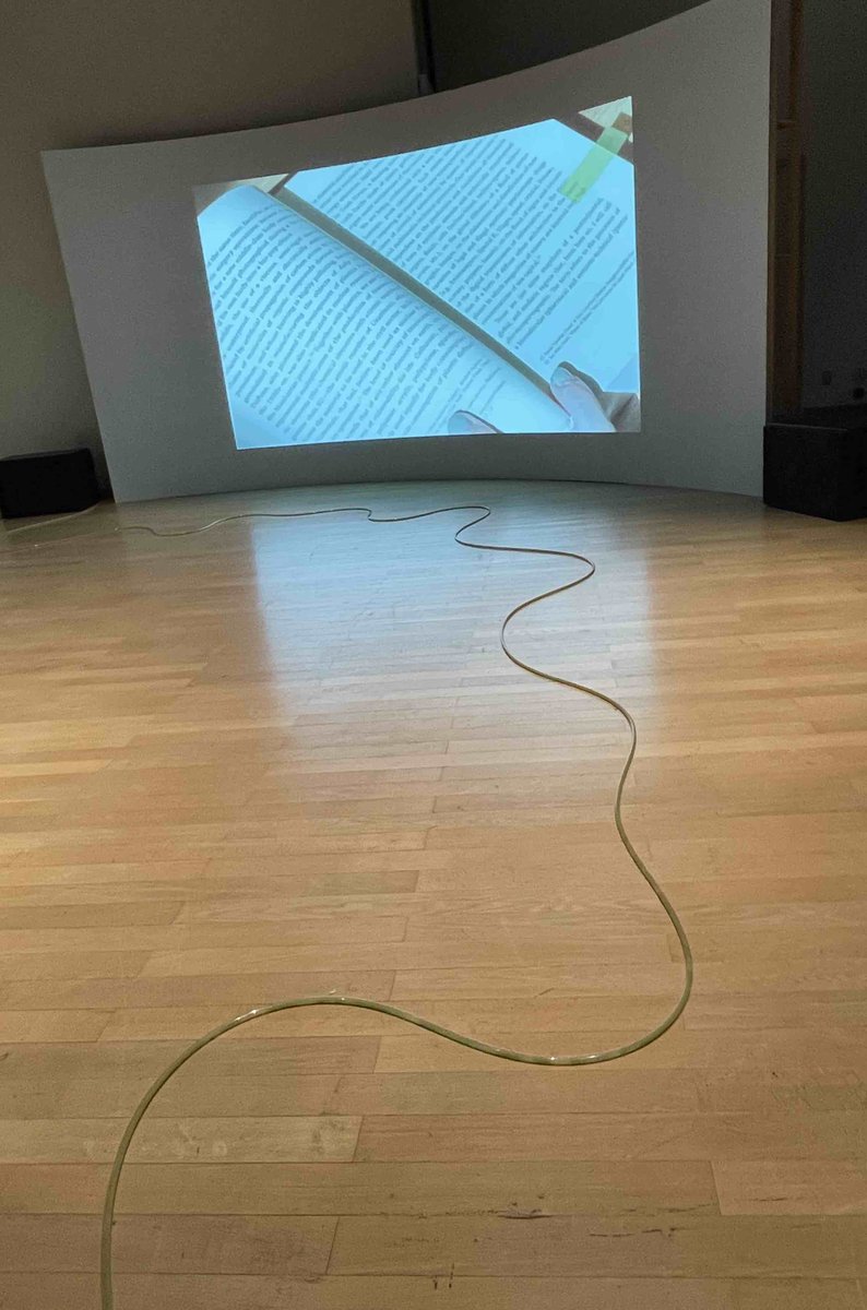 Maya Erin Masuda exhibition “Ecologies of Closeness” at YCAM

マヤ・エリン・マスダの本展では、展覧会名も作品名も英題と邦題が逐語的に対応していない。sachlichな印象の英題と比べればemotionalな邦題。その間（あわい）から吐露（pour out）される主題の感得が、鑑賞の第一歩になった。