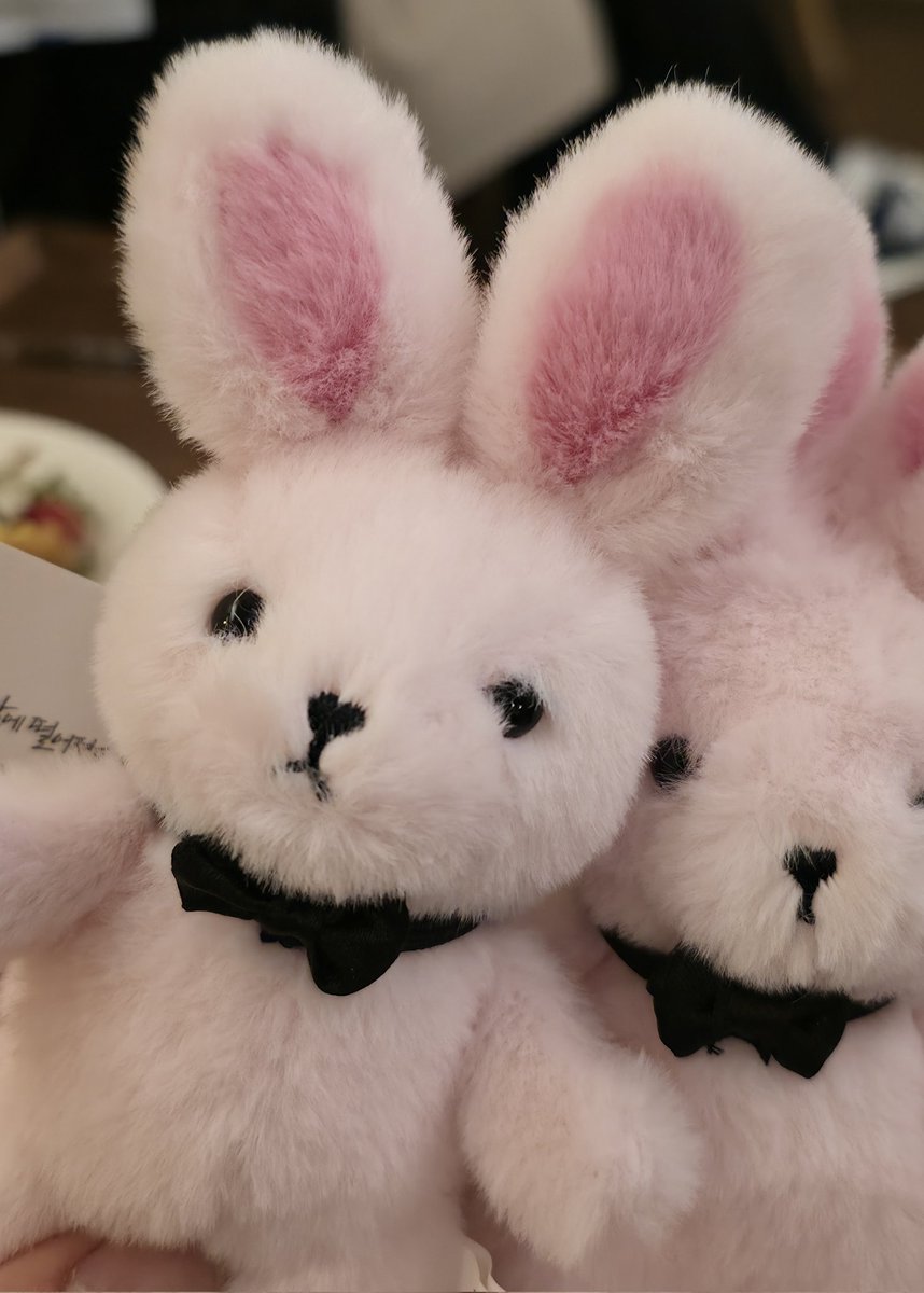 어제 괴출전시 보고 팝업스토어 갔더니 브라운 품절돼서 잉잉 울고있는데(가짜임) 갑자기 너무나도 우연히 히츄님 만남 그리고 히츄님이 나에게 브라운을 주셨음(사랑해요히츄님진짜로)

내가 브라운에게 간다는 너무 수동적이었음
브라운이 내게로 온다😭🙏💕🐰💕