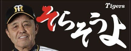 阿波の三十路 (@awanomisoji_srw) on Twitter photo 