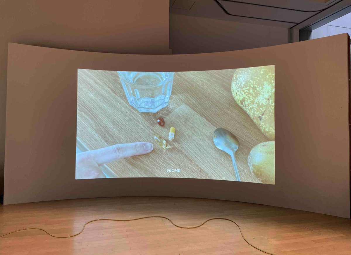 そこでは、性（フロイト）と死（ラカン）の両義性を超える関係の多義性が複雑に駆動、いや蠢動している。サッフォーの詩句「καθεύδοις ἐν κόλποις φίλας ἄβρας（あなたがその優しい友の胸のうちで眠れますように）」を引く映像作品「皮膚の中の惑星」の親密さの中にも、多義性の充溢がある。