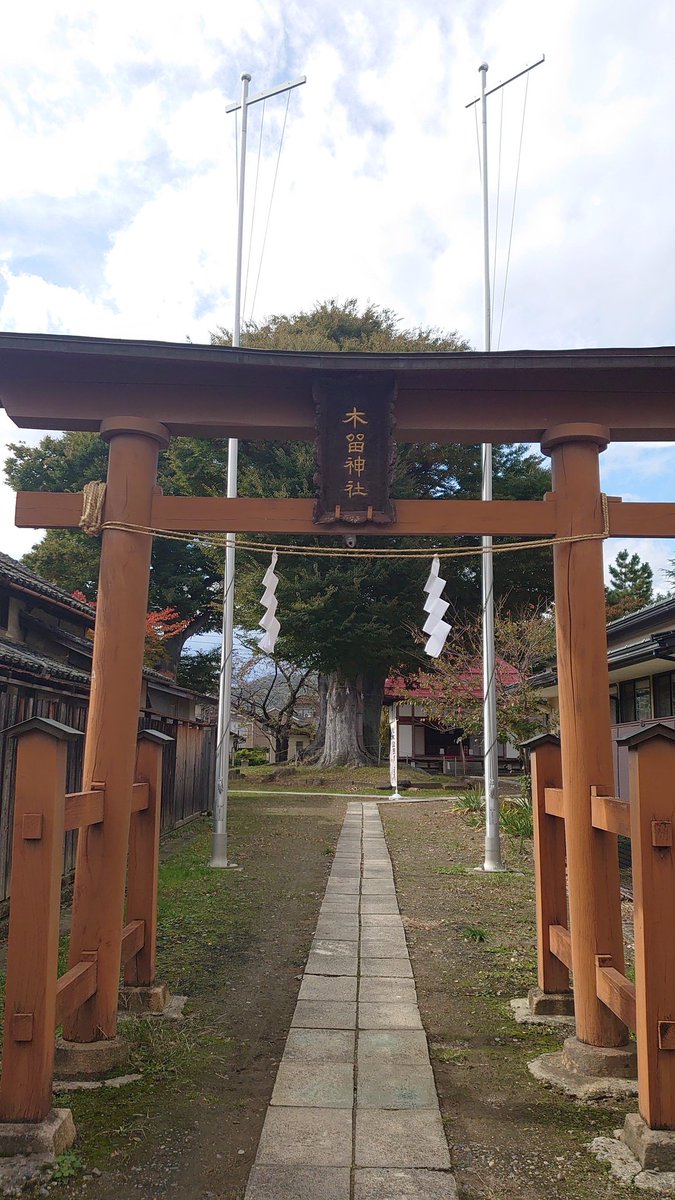 うさぎ風味 on X