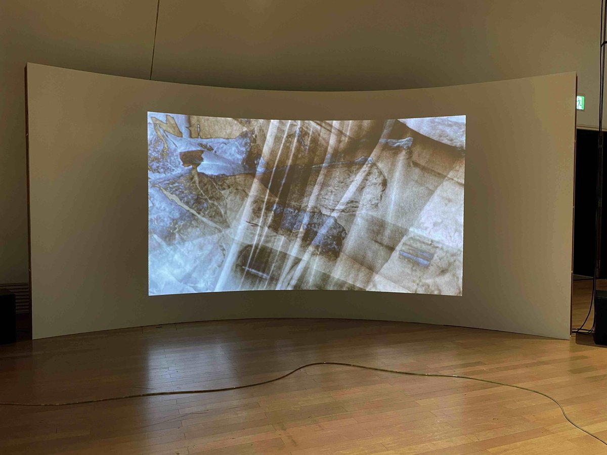 マヤ・エリン・マスダのクィアな水平思考には、果てが無いように思われる。映像作品「証言者たち」は非言語的（non-verbal）な証言集として、証言する権能を持つものの範囲を押し広げつつ、皮膚感覚で触知できるものに限定しているようでもある。しかし、粘膜的な関係性に限定することはない。