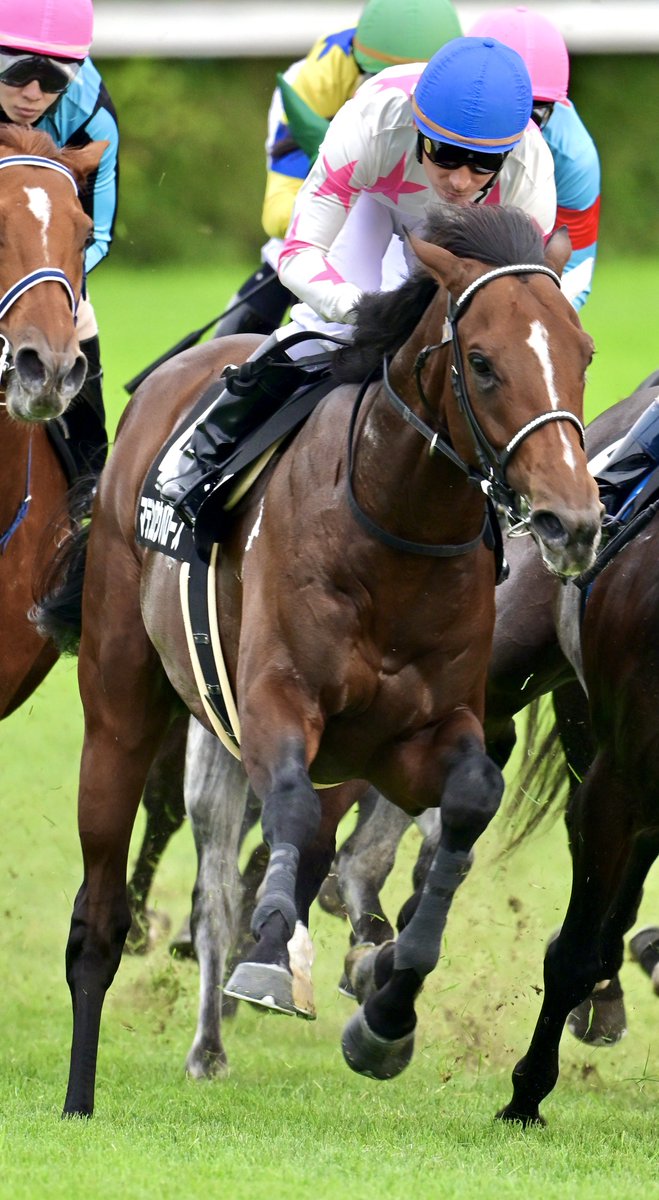 maruta (@marutanx8691) / Posts / X