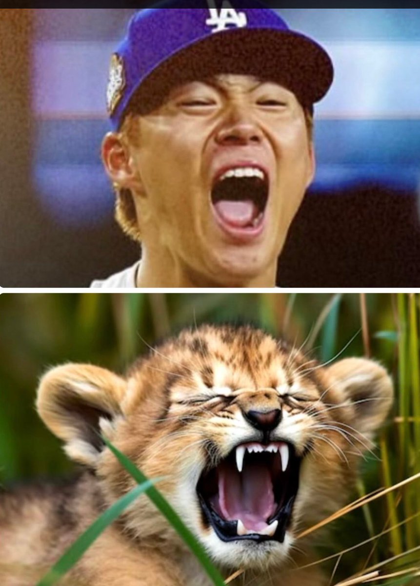 オオタニサン、去年は山本由伸選手のことを子ライオンに例えたけど