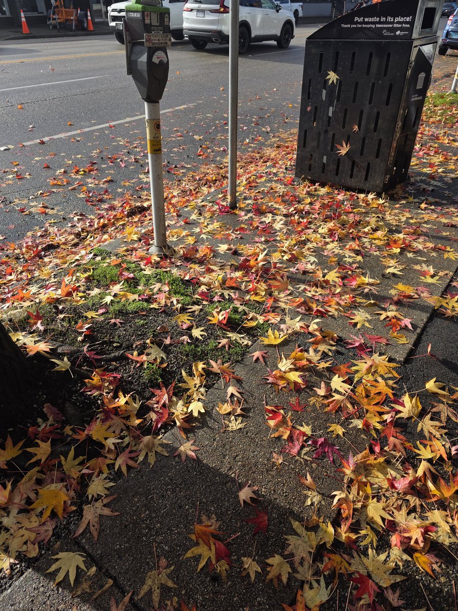 なっつん tweet media