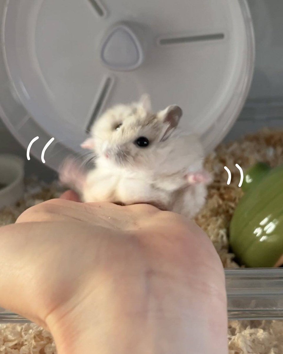 ما يمكن رغبتك في الاختفاء نابعة من كونك عايز تحس ان وجودك عامل فرق