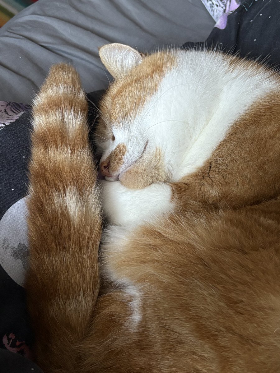 Just five more minutes, Mummy 💤