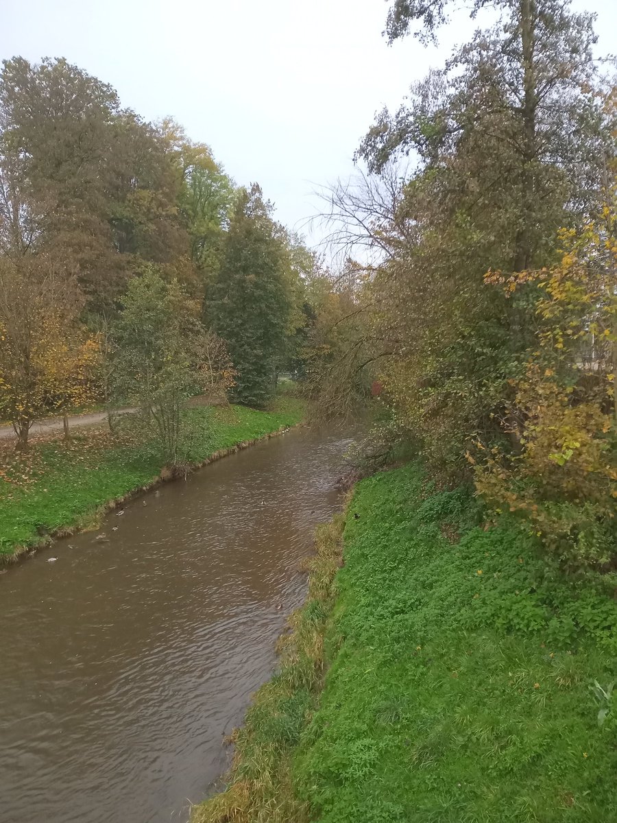 Trattnach Handyfoto Gigaset.