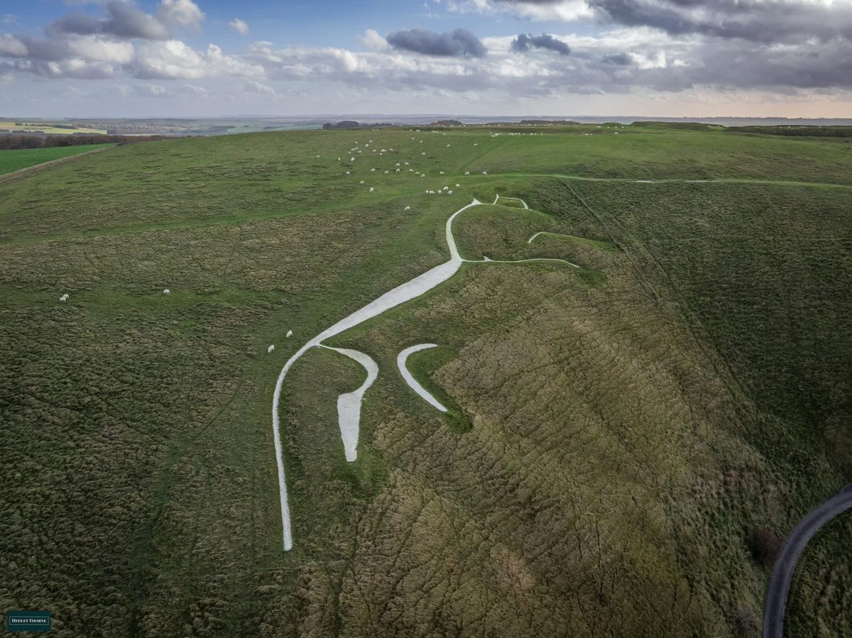 ajlxwebmail's tweet image. 