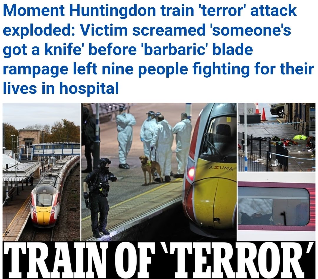 CoinsKid tweet media