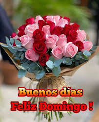 <a href="/mcmarlyncris/">Marlyncris♍</a> <a href="/BlindadoGrupo1/">Grupo Blindado1</a> <a href="/Clota7/">Clota</a> <a href="/avercombie/">Doña Rosita</a> <a href="/rdmdq/">𝙍𝙤𝙗𝙚𝙧𝙩𝙤💛🇦🇷🇺🇦🇮🇱</a> <a href="/ZeraClau/">Clau Su 🌹</a> <a href="/hollywoodavid79/">David Colombo</a> <a href="/hobbyta/">Adri Land ♊🇦🇷🇮🇹</a> <a href="/OscarPa96778460/">El Patriota Republicano</a> <a href="/hemera133/">Héméra 🌹🌿 Republicana💛😺🇦🇷...</a> <a href="/hamarga78/">La Hamarga</a> <a href="/zulma54137866/">Zulma 💯💪💯🇦🇷😻🇦🇷</a> <a href="/mercede53721867/">mercedes santillan</a> <a href="/AnaErbetta7614/">Ana Maria EB. MDQ ♌️ 💛</a> <a href="/acaisut/">Alberto</a> <a href="/AdrianPerasso/">Adrian Perasso</a> <a href="/LUIS_OL43/">Luis</a> <a href="/Aleli26281405/">Mariposita</a> <a href="/HugoAlexandroG2/">Hugo Alexandro 💛🇦🇷🇺🇦</a> Feliz domingo Marlyn y Grupo!