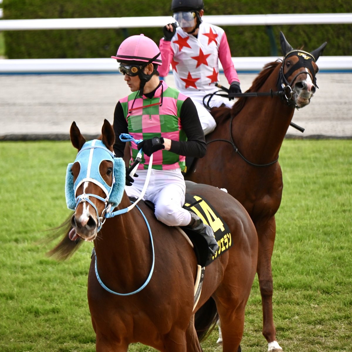 ダマスカス蹄鉄 ダマスカス牛刀 包丁 210mm 地蔵堂 包丁 牛刀 | ホームセンター