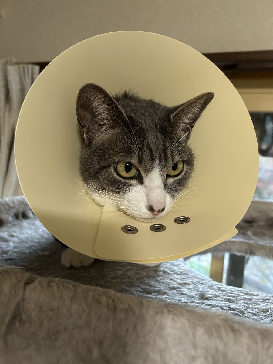 きょーこ いいね👍消えてるかも🙇‍♀️ on X