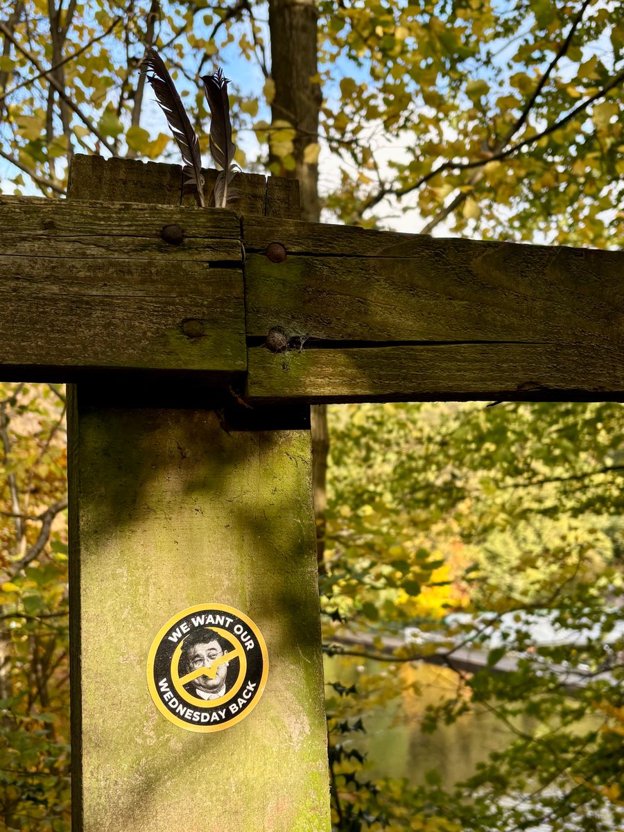 AndyRM_'s tweet image. #SWFC #ForgeDam