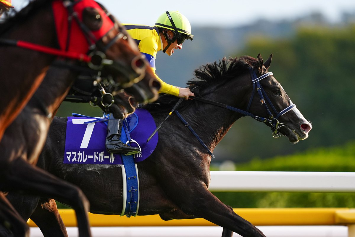 スポニチ競馬チャンネル on X