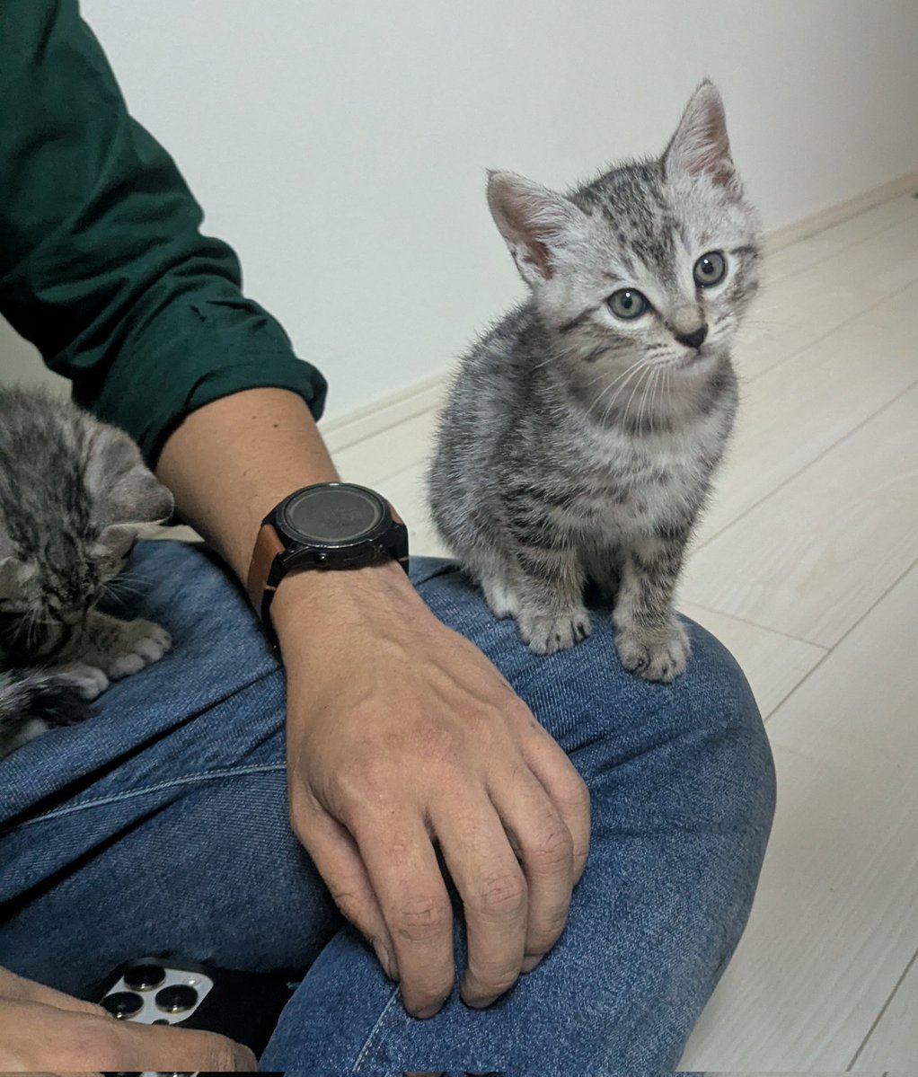 PEKO (@ab_peko) / Posts / X