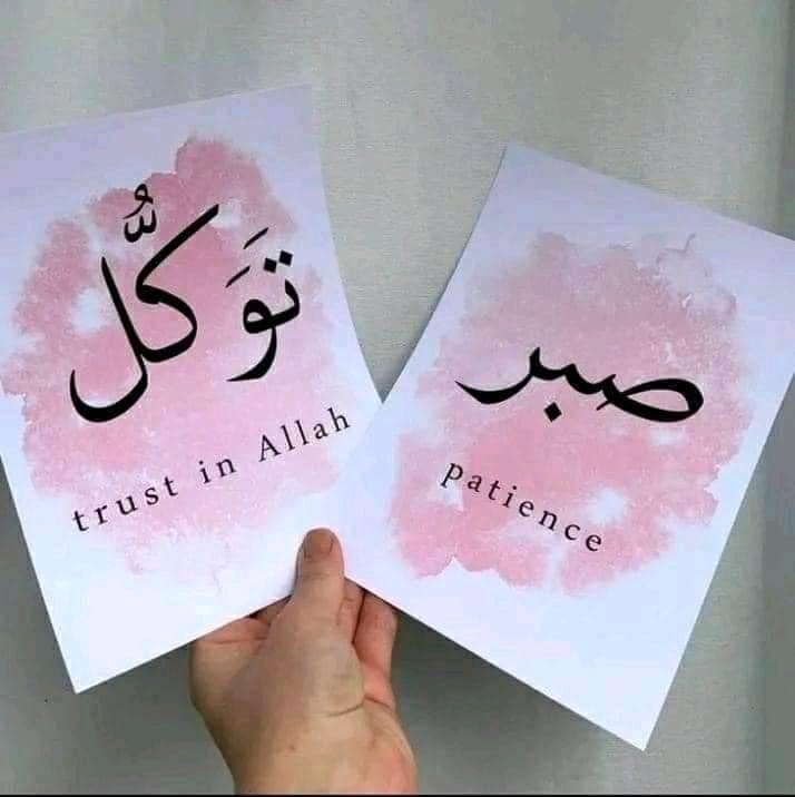 AhmadullahFahi4's tweet photo. توکل علی الله https://t.co/qPzx1J5Xd6