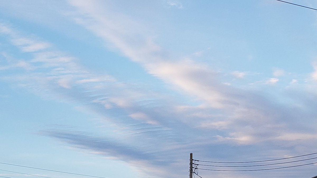 Mirai 🌈✨ (@Mirai_colorful) / Posts / X