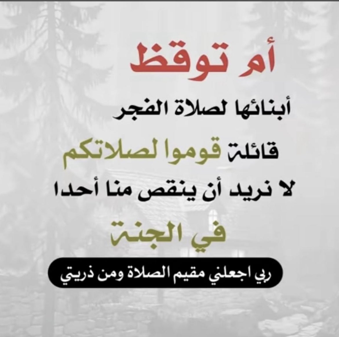 ابوراشد tweet media