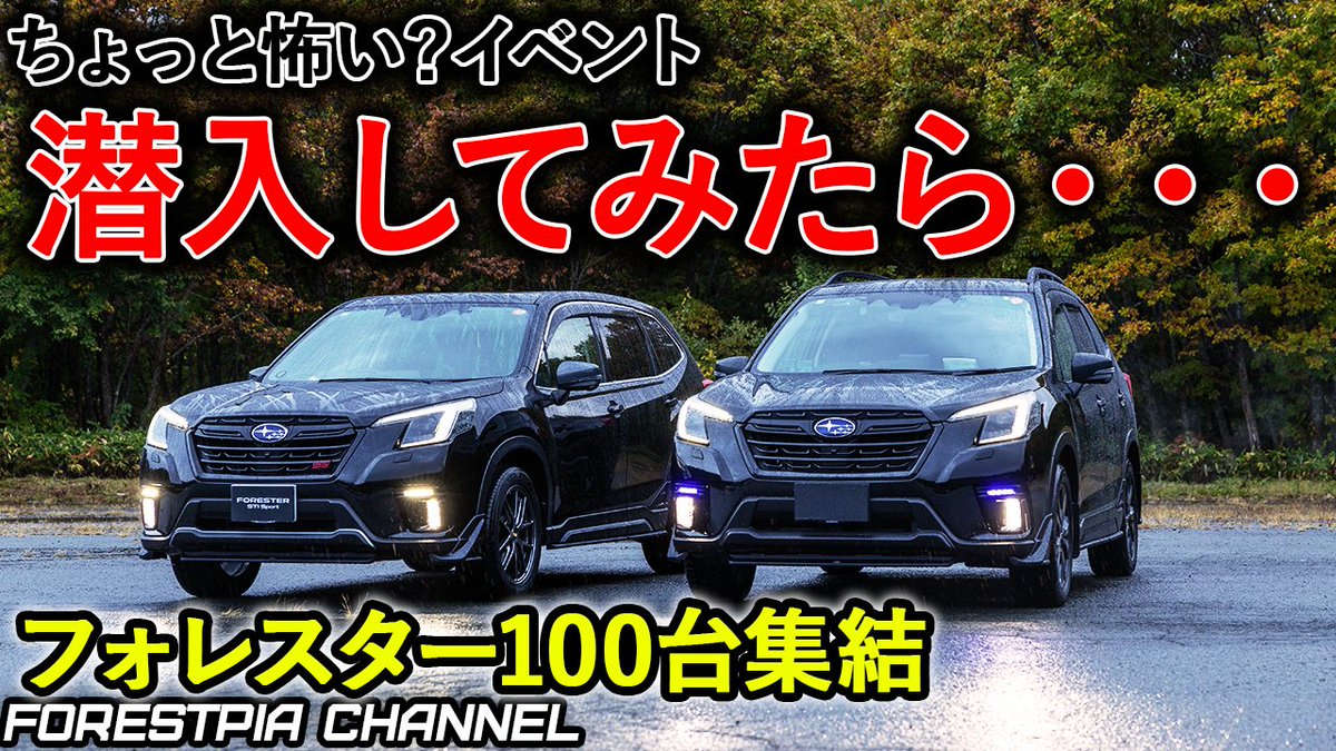 forestpia18's tweet image. 【NEW動画】
　フォレスターが100台集まるスバリストの祭典に行ってきた｜福島フォレスターオフ2025  　
　youtu.be/jcr9wttn_Ys
　#福島フォレスターオフ2025
　#フォレスター